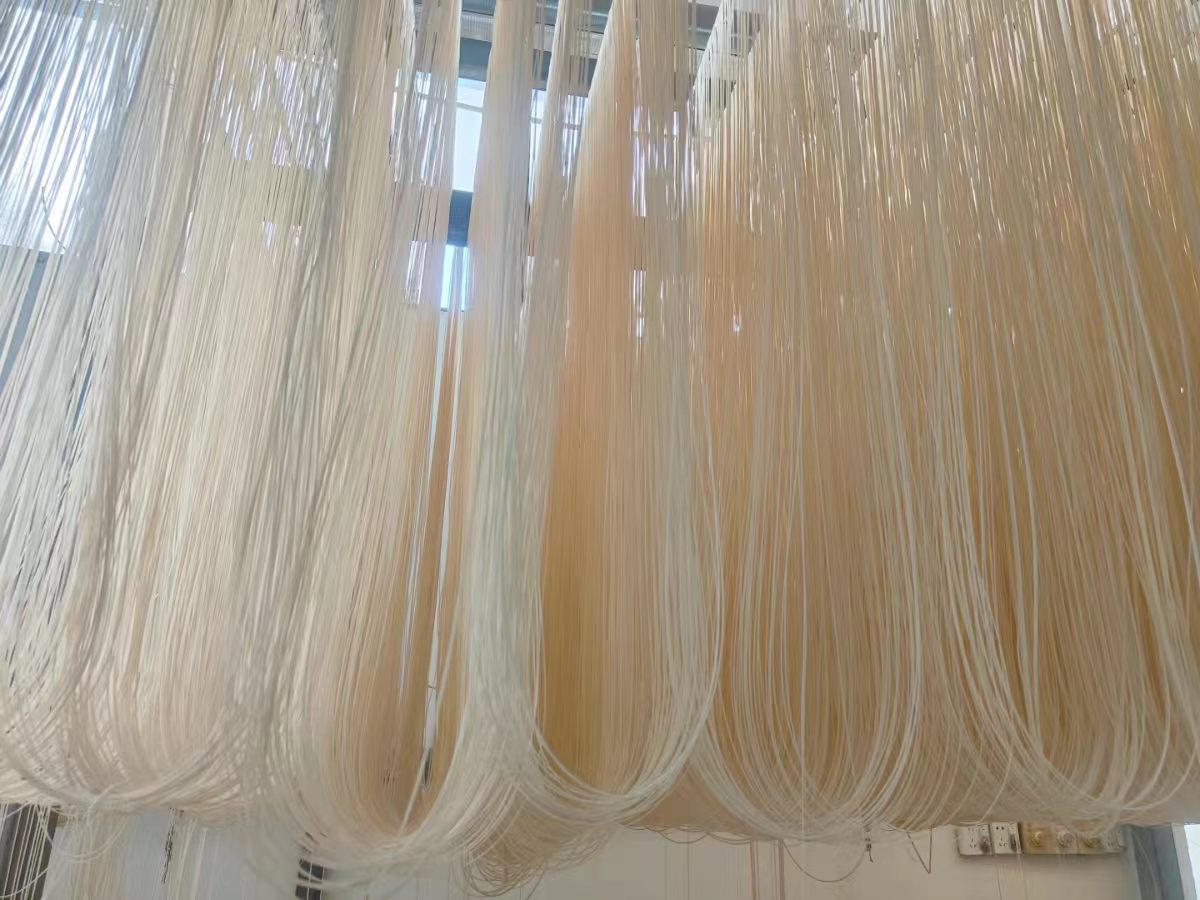 潢川手工挂面